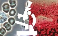 Live Blood Imagery by Conscious People Thrive - Energy & Bio Medicine