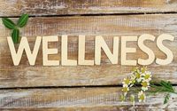 Holistic Health & Wellness Services by Santa Barbara Wellness Directory