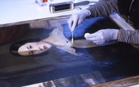 Professional Preservation of art and artifacts by West Lake Conservators