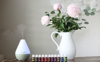 Young Living Natural Health and Home Products  by Young Living Essential Oils
