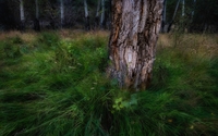 Quiet, Peaceful photo art by jim digby-photographer