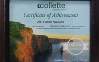 Collette Guided by Travel by B & D Travel Consultants, LLC