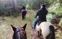 Back Country Rides by Red Moon Ranch California