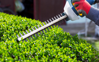 Shrub Trimming by Grasshopper Lawn & Landscape