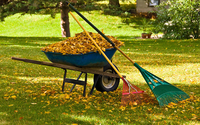 Clean-up by Grasshopper Lawn & Landscape