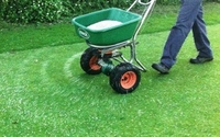 Lawn Management Program by Grasshopper Lawn & Landscape