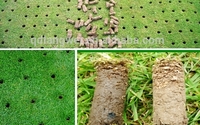 Lawn Aeration  by Grasshopper Lawn & Landscape