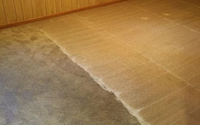 Carpet Cleaning by Silverback Restoration, LLC
