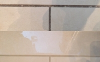 Tile & Grout Cleaning by Silverback Restoration, LLC