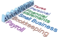 Accounting  and tax services  for businesses and individuals  by Eric Sonego Professional Group