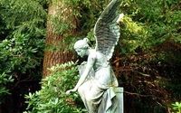 Angel Communication by Hands of Light by Rosemary LLC