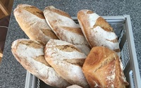 Organic, hand crafted bread by LOKAL PRAKTICE
