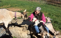 Moores Pond Farm by Apollo Ranch Institute Press