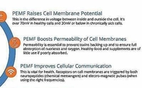 Bio-Wellness Recharge Session by PEMF4Health Recharge