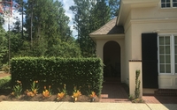 Joan Cravens Construction by Joan Cravens Construction