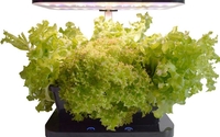 Micro Farm: Complete Tabletop Hydroponic System by HydroPro Sales Inc
