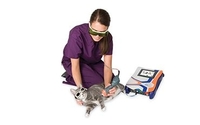 Laser Therapy by South Paw Animal Hospital