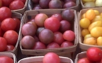CALL FOR FARMERS MARKET CORPORATE SPONSORS by Friends of Lincoln Park Farmers Market
