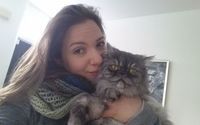 Cat Sitting/Dog Sitting by Debbie's Pet Sitting