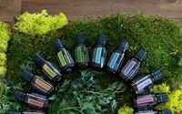 Essential Oils by Naturally Essential LLC