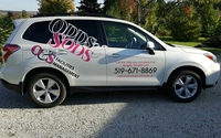 ODDs & SODs by ODDs&SODs