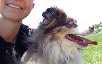 Pet sitting by Around The Block Pet Care LLC