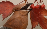 Cedar Waxwing set in natural habitat, eating high bush cranberries by MacKenzie Creations Art Studio