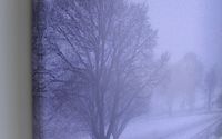 Fine Art Prints by Owling Dog Art Gallery