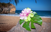 Weddings by Kauai Wedding Blessings
