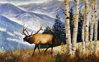 Art by Ellen by https://www.yessy.com/artbyellen  or  Art by Ellen