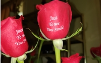 Chatty Treasures  by Chatty Treasures- Iprintonroses.net