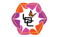 LDC Strategies - Transformational Success Coach assisting you to Take Action with Jet Propulsion by LDC Strategies