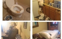 Hoarding Cleaning  by R.C.C. Professional Cleaning