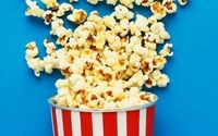 Request a Sample and Info by Poppin Time Fundraising