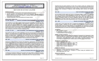 Resume Writing Services by Market-Connections Resume Services