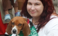 Foster Team and Matchmaking Programs by Lucky Dog Animal Rescue