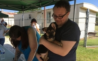 Low Cost Spay/Neuter Days and Vaccine Clinics for Underserved Communities by Lucky Dog Animal Rescue
