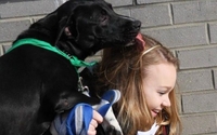 Activities to Cultivate the Next Generation of Animal Advocates/Rescuers by Lucky Dog Animal Rescue