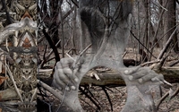 Art Portraits by Kim Soles Photography