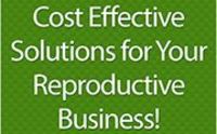 LaMothe Services Business Solutions  by LaMothe Services, LLC
