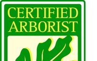 Tree Trimming by Andrews Tree Services