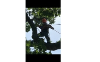 Complete tree service by RLB Tree Service