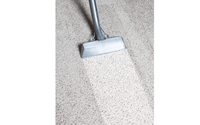 Areas we Service by Royal Carpet Cleaning Inc