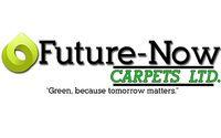carpet and upholstery cleaning by Future-Now Carpets Ltd