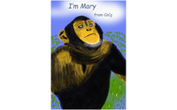 Name Tags for Meetings or Conventions by artist, photographer, and manager at Fine Art by Stew