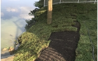 Sod Installation  by A Cut Above The Rest Lawn Care LLC