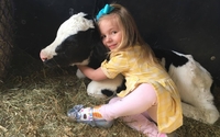 COMPLETE PETTING ZOO  by Chamberlin Pony Rides & Mobile Petting Zoo