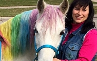 PONY BACK RIDES AND FACE PAINT / TWISTY BALLOONS/ SMALL PETTING ZOO  by Chamberlin Pony Rides & Mobile Petting Zoo