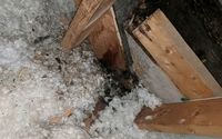 Water and Mold Remediation by Affinity Claim Consultants