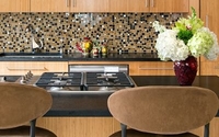 Interior Design, Living In Place Design, Feng Shui, Home Staging by Julie Schuster Design Studio